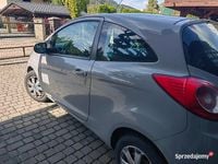Obraz 3