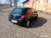 Obraz 3