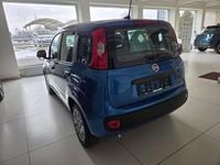 używany Fiat Panda MY25 Pandina Icon 1.0 70 KM