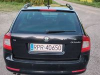 Obraz 3
