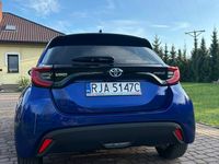 Obraz 3