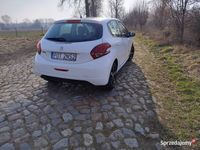 Obraz 2