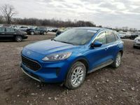 używany Ford Kuga 2020, 1.5L, SE, po gradobiciu II (2012-)