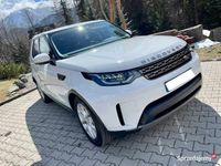 używany Land Rover Discovery 5 2018 rok Europa Pneumatyka