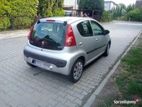 Obraz 3