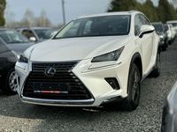 używany Lexus NX300h Hybrid 4WD Prestige 4x4 vat 23