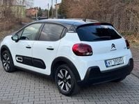 Obraz 3