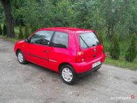 Obraz 3