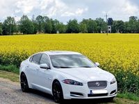 Używany Jaguar XF R 2015 Sedan/Limuzyna