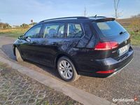 używany VW Golf VII 