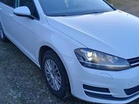 używany VW Golf VII Kombi 1.6 TDI