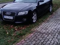 Obraz 3