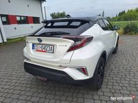 Obraz 3