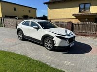 Obraz 1