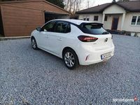 Używany Opel Corsa Edition 2023 Biały Hatchback