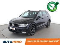Obraz 1