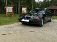 Obraz 3