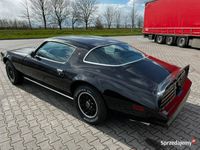 używany Pontiac Firebird / Trans Am Formula 1978 V8 350 Black Bandi…