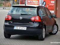 używany VW Golf V GOLF V 5d 1.6i 105PS zadbany sprawny Salon PL. Gwarancja!5d 1.6i 105PS zadbany sprawny Salon PL. Gwarancja!