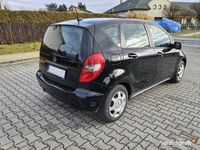Obraz 3