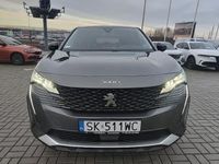 Obraz 3