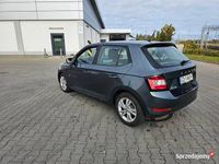 Obraz 3
