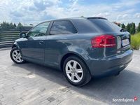 używany Audi A3 20088p lift full nowy rozrząd 1.4 benzyna 159.000 km serwis po opł