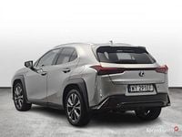 Używany Lexus UX Sport Design Packet 152 KM (111 kW) 2023 Szary (metalik) SUV