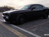 używany Dodge Challenger 