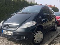 Obraz 1