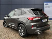 używany Ford Kuga III ST-Line 2.0 Ecoblue 190 KM A8 AWD