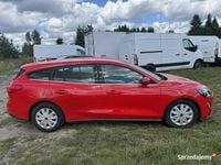 Używany Ford Focus Cool & Connect 120 KM (88 kW) 2021 Czerwony Sedan/Limuzyna