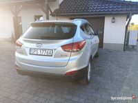 Obraz 3