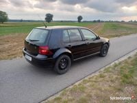 Obraz 3