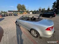 Obraz 3