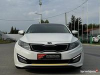 Obraz 2