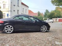 Obraz 2