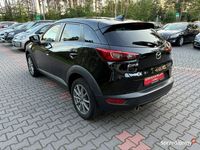 Obraz 3