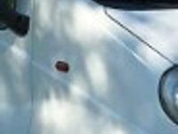 używany Renault Trafic Kamper II (2001-2014)