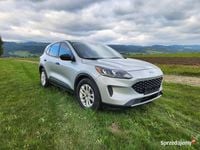 Używany Ford Kuga 2020 SUV