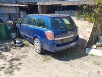 Obraz 3