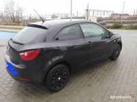 Obraz 2