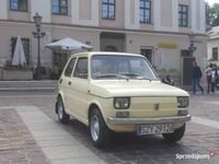 Obraz 2