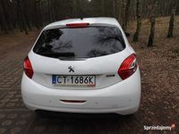 Obraz 3