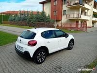 Obraz 3