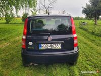 używany Fiat Panda 2009/2010 rok, poj. 1.2 benzyna,