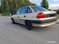 Obraz 3