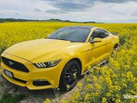 używany Ford Mustang 3.7 B+LPG 2015r