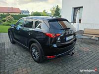 Obraz 3