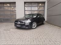 Obraz 3